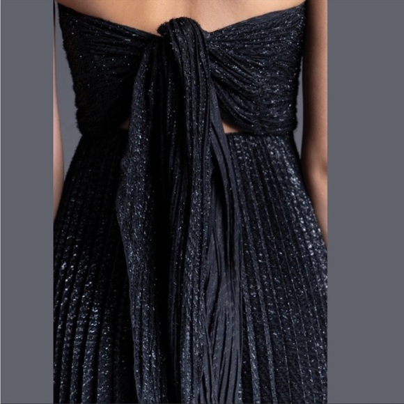 Nwt Maria Lucia Hohan Venus Strapless Metallic Plisse Midi Dress - Size 8 - Picture 3 of 16